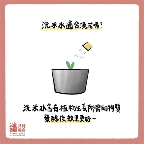 洗米水澆花|共好糧倉 